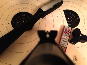 Ruger 10/22 Takedown iron sights